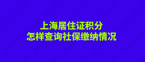 怎样查询自己的社保缴纳情况