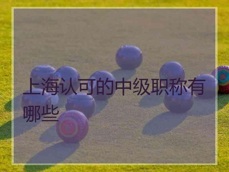 上海认可的中级职称有哪些