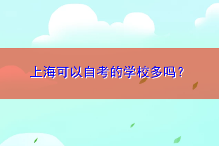 上海可以自考的学校多吗？