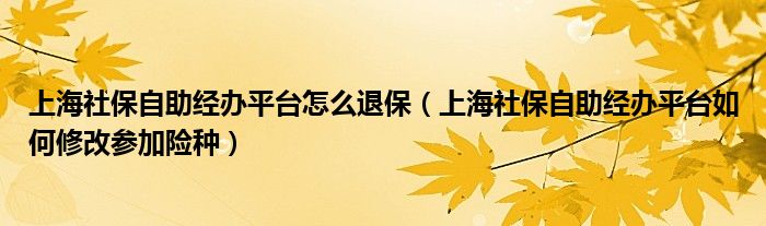 上海社保自助经办平台怎么退保（上海社保自助经办平台如何修改参加险种）