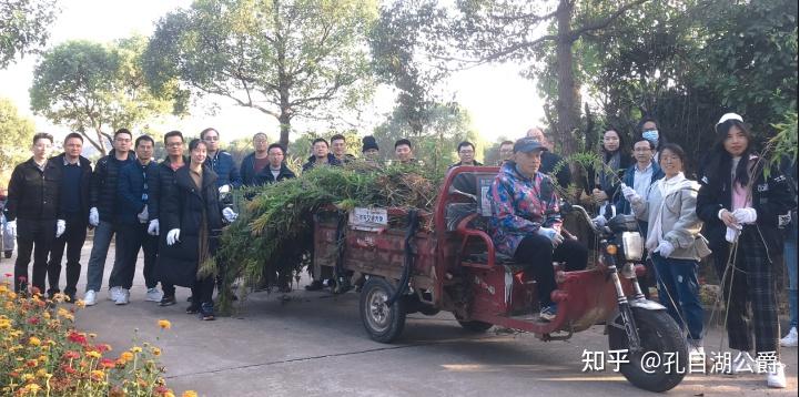 斩草除根！国内最高学历博士组团清除“加拿大一枝黄花”