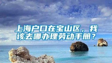 上海户口在宝山区，我该去哪办理劳动手册？