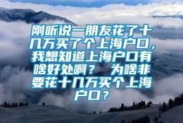 刚听说一朋友花了十几万买了个上海户口，我想知道上海户口有啥好处啊？ 为啥非要花十几万买个上海户口？