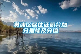 黄浦区居住证积分加分指标及分值