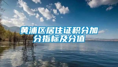 黄浦区居住证积分加分指标及分值