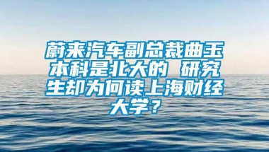 蔚来汽车副总裁曲玉本科是北大的 研究生却为何读上海财经大学？