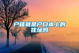 户籍就是户口本上的住址吗