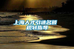 上海人才引进名额 规划指导