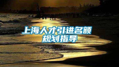 上海人才引进名额 规划指导