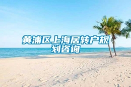 黄浦区上海居转户规划咨询