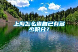 上海怎么查自己有多少积分？