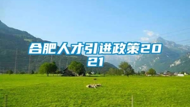 合肥人才引进政策2021