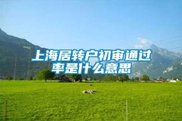 上海居转户初审通过率是什么意思