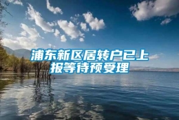 浦东新区居转户已上报等待预受理