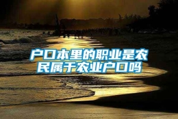 户口本里的职业是农民属于农业户口吗