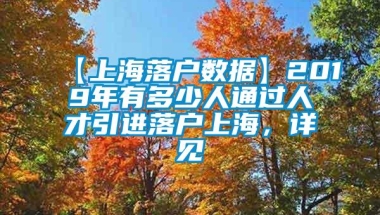 【上海落户数据】2019年有多少人通过人才引进落户上海，详见→