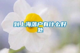 到上海落户有什么好处