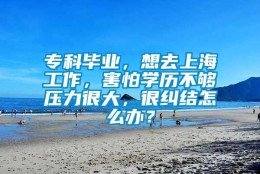 专科毕业，想去上海工作，害怕学历不够压力很大，很纠结怎么办？