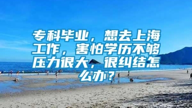 专科毕业，想去上海工作，害怕学历不够压力很大，很纠结怎么办？