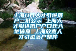 上海11月人才引进落户二批公示 上海人才引进落户户口迁入地信息 上海放宽人才引进落户条件