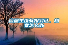 应届生没有报到证，档案怎么办