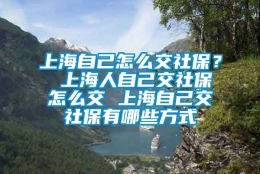 上海自己怎么交社保？ 上海人自己交社保怎么交 上海自己交社保有哪些方式