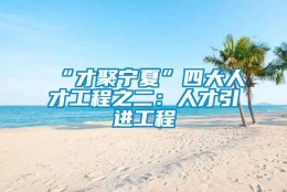 “才聚宁夏”四大人才工程之二：人才引进工程