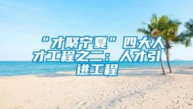 “才聚宁夏”四大人才工程之二：人才引进工程