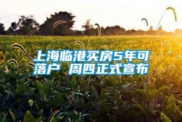 上海临港买房5年可落户 周四正式宣布