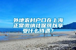 外地农村户口在上海正常缴纳社保可以享受什么待遇？