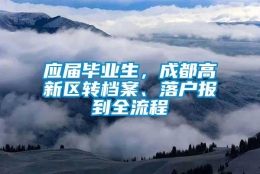 应届毕业生，成都高新区转档案、落户报到全流程