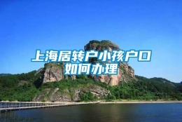 上海居转户小孩户口如何办理