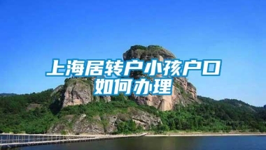 上海居转户小孩户口如何办理