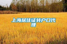 上海居住证转户口代理