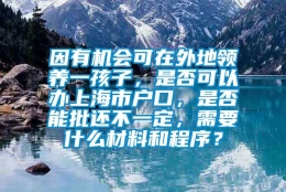 因有机会可在外地领养一孩子，是否可以办上海市户口，是否能批还不一定，需要什么材料和程序？