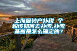 上海居转户补税 个税该如何去补缴,补缴基数是怎么确定的？