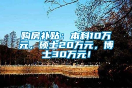 购房补贴：本科10万元，硕士20万元，博士30万元！