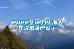 2022年12月上海人才引进落户公示