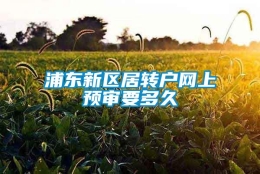 浦东新区居转户网上预审要多久