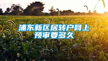 浦东新区居转户网上预审要多久