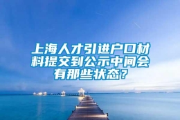 上海人才引进户口材料提交到公示中间会有那些状态？