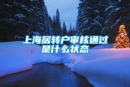 上海居转户审核通过是什么状态