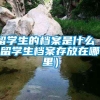 留学生的档案是什么（留学生档案存放在哪里）