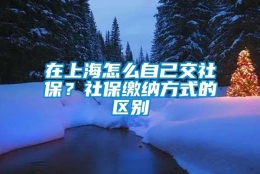 在上海怎么自己交社保？社保缴纳方式的区别