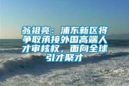 翁祖亮：浦东新区将争取承接外国高端人才审核权，面向全球引才聚才