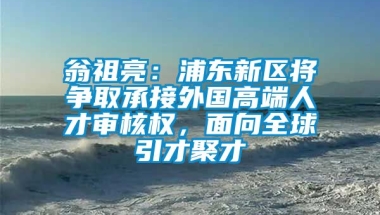 翁祖亮：浦东新区将争取承接外国高端人才审核权，面向全球引才聚才