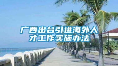 广西出台引进海外人才工作实施办法