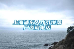 上海浦东人才引进落户咨询电话