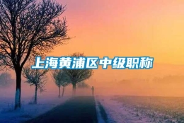 上海黄浦区中级职称