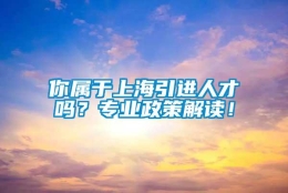 你属于上海引进人才吗？专业政策解读！